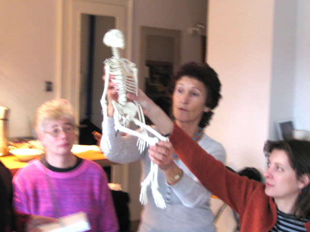 WELCOME---photograph-of-Ellie-Ribeaux,-head-of-training-at-Centre-for-the-Alexander-Technique,-teaching-anatomy